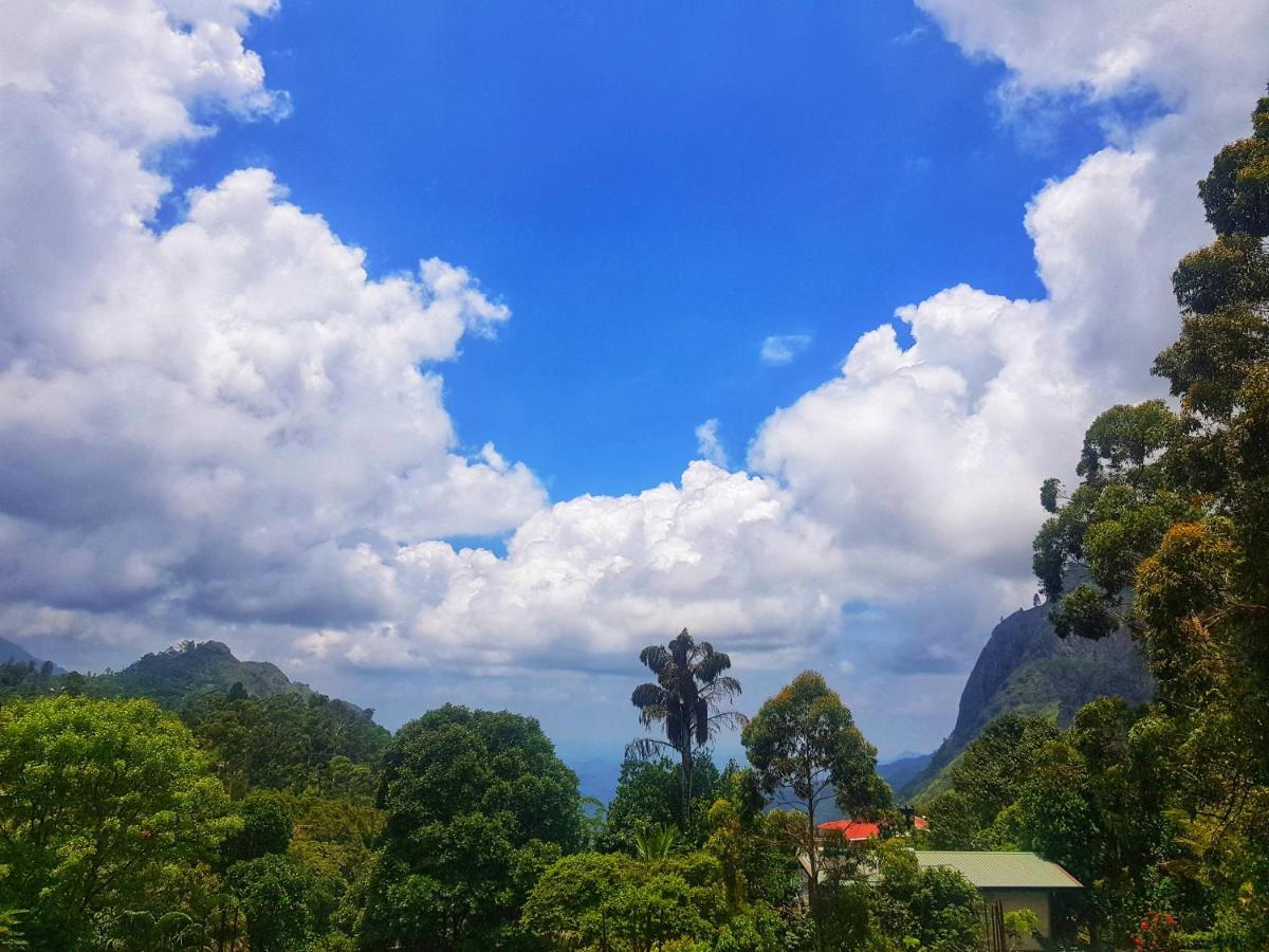 Holly House Homestay إيلا المظهر الخارجي الصورة