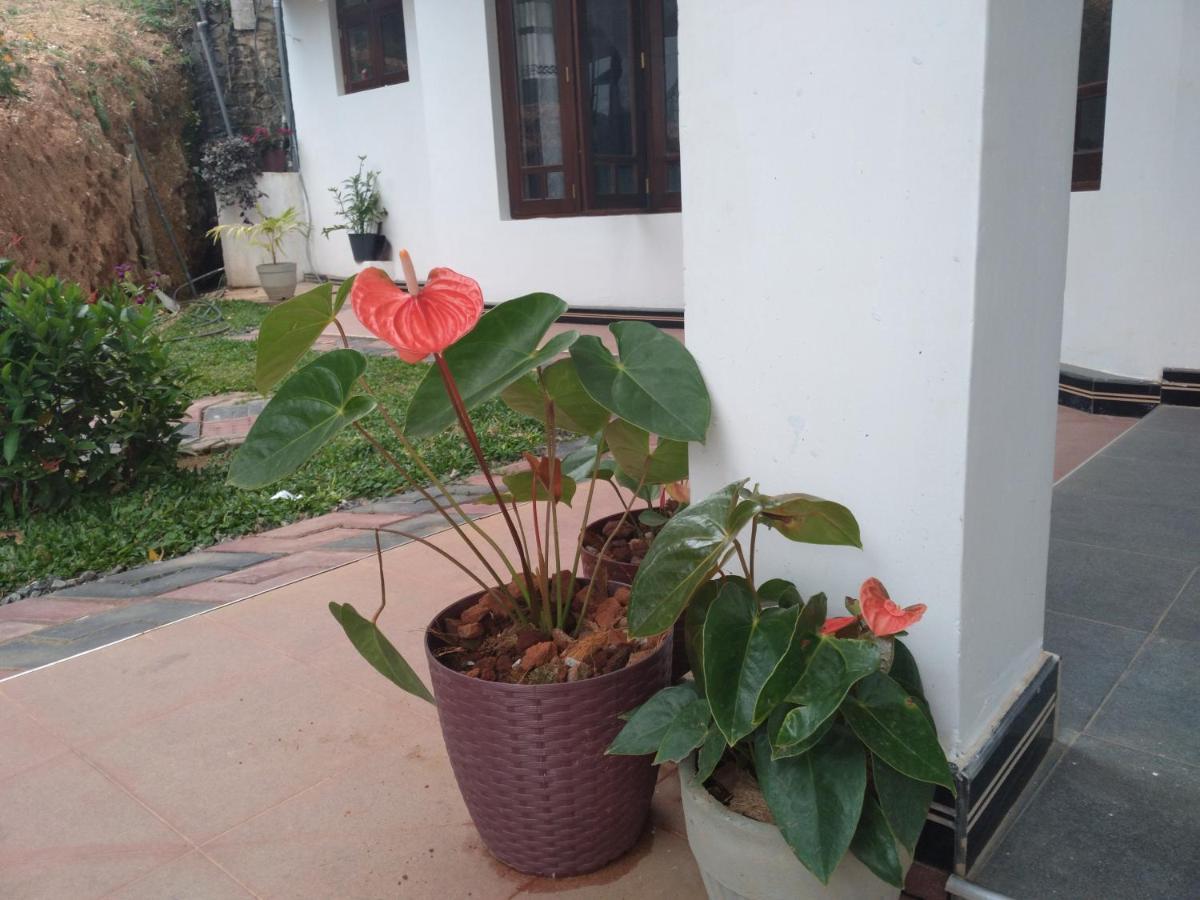 Holly House Homestay إيلا المظهر الخارجي الصورة