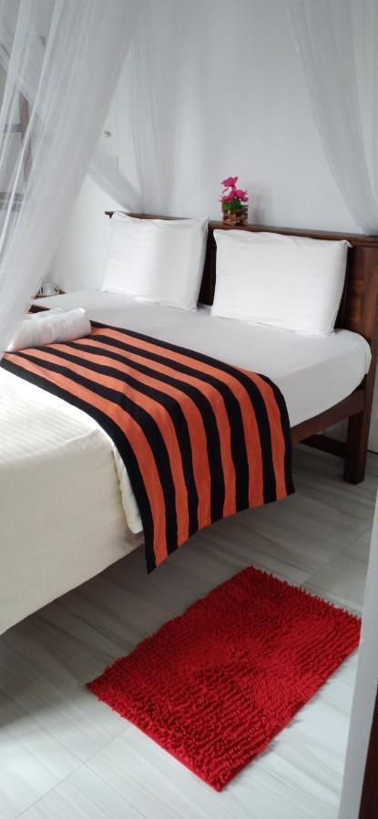 Holly House Homestay إيلا المظهر الخارجي الصورة