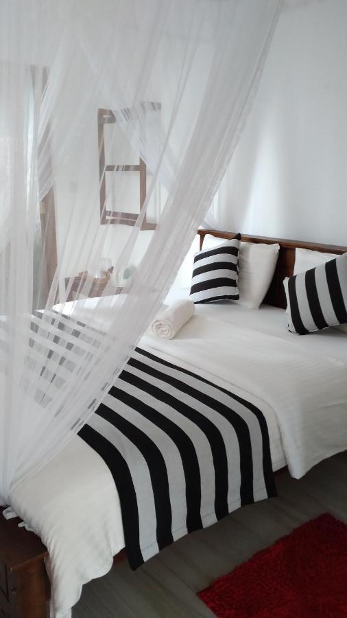 Holly House Homestay إيلا المظهر الخارجي الصورة
